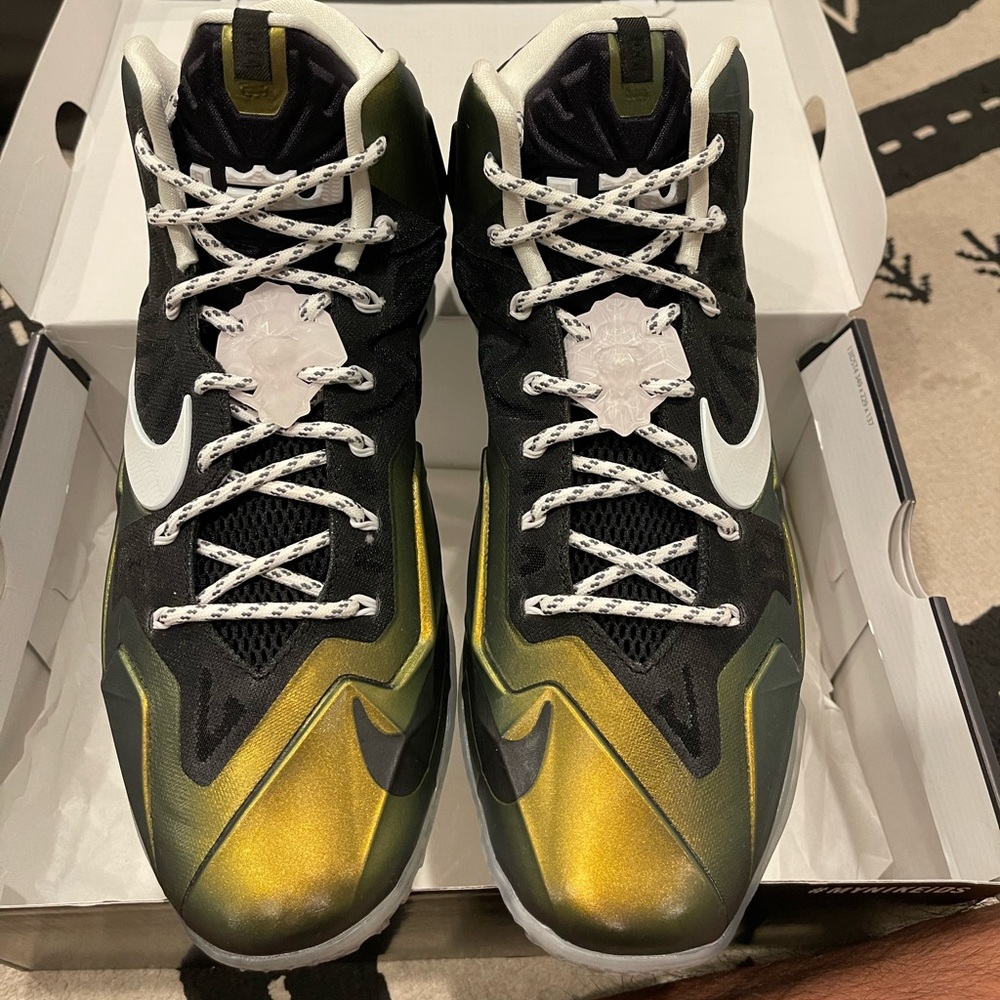 Lebron 11 custom NikeID size 12 brand new